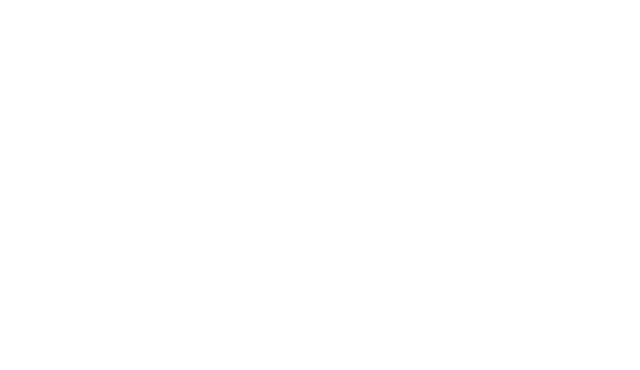 zebra logo1